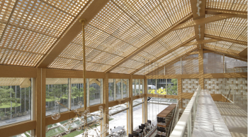 Custom Special‑Shaped Engineered Bamboo Ceiling