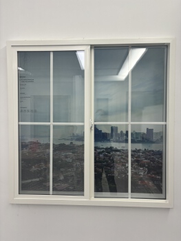 SINGLE SLIDING WINDOW