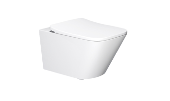 Wall-mounted toilet