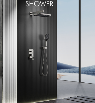 2-Functional concealed shower