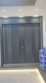 Modern Zinc Alloy Security Entrance Door FH-ZAD01