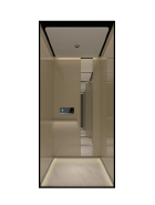 XO‑Z2112A Youth‑Gold Private Villa Home Elevator
