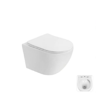 SW209 Wall-hung Toilet