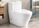 T-2166 Toilets