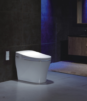 K19013 DATA Toilets