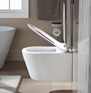 wall mounted toilet MQT02