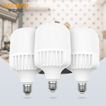 LED Bulb T80